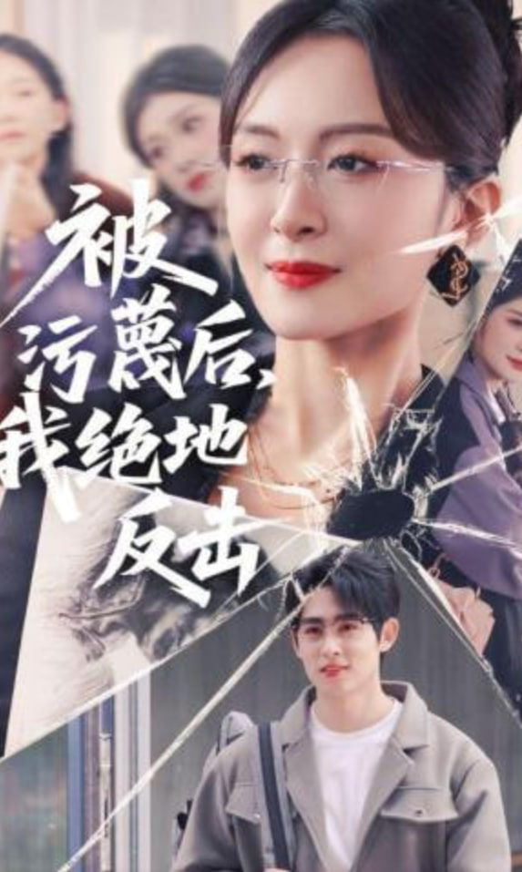 被污蔑后，我绝地反击封面