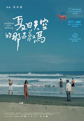 夏日天空的那匹红马封面