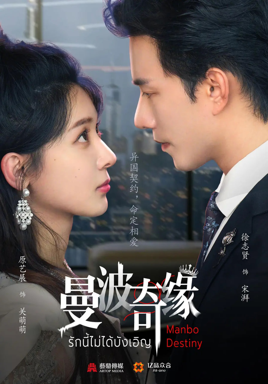 曼波奇缘封面