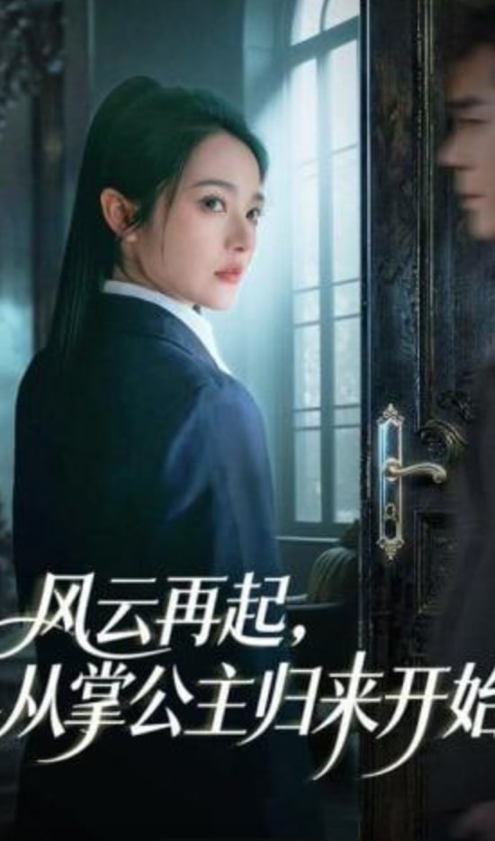 风云再起，从掌公主归来开始封面