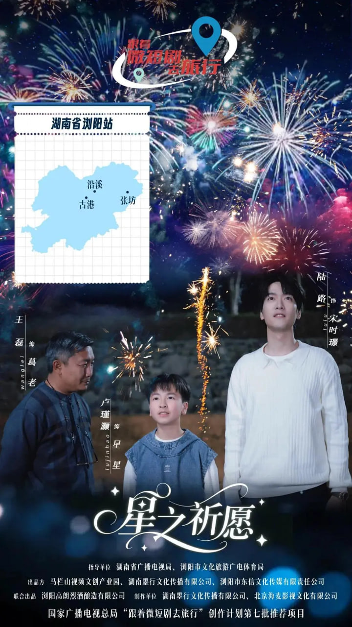 星之祈愿封面