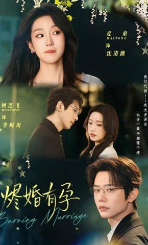 烬婚有孕封面