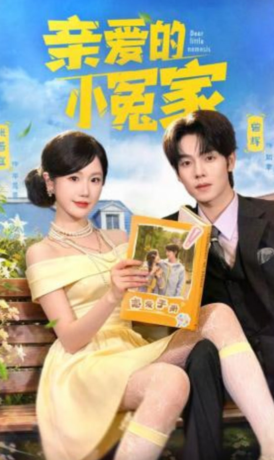 亲爱的小冤家封面