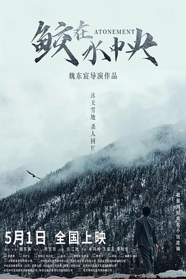 鲛在水中央封面