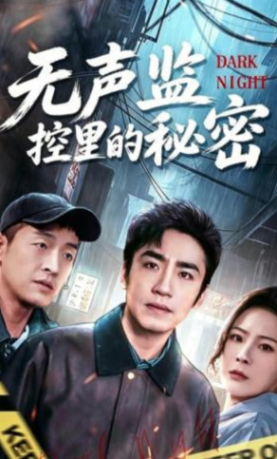 无声监控里的秘密封面