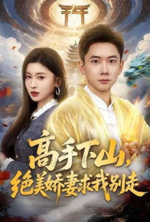 高手下山，绝美娇妻求我别走封面