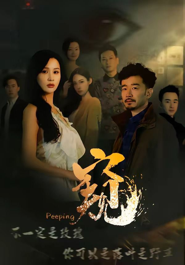 窥（窥伺）封面
