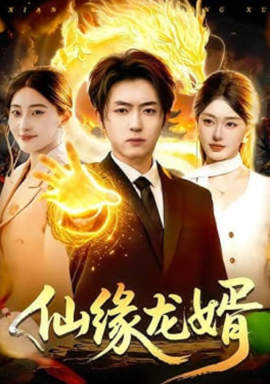 仙缘龙婿封面