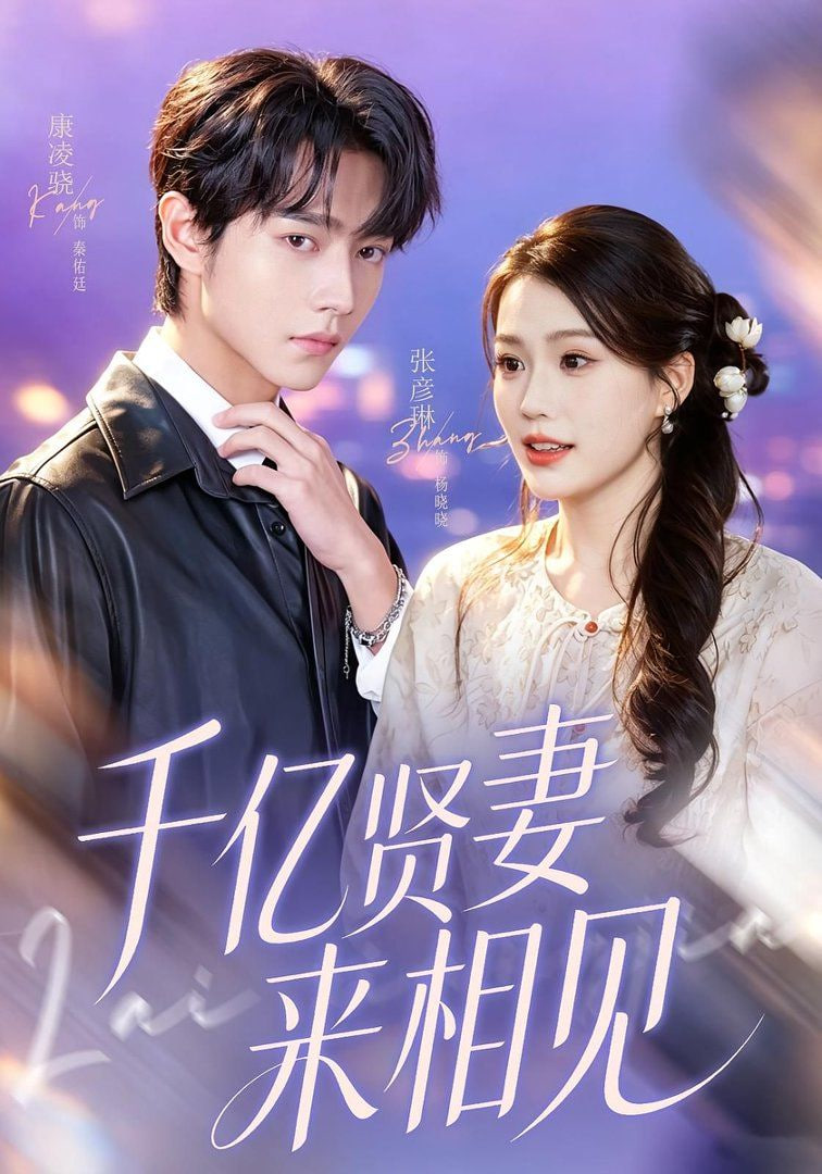 钻石贤妻来相见（千亿贤妻来相见）封面