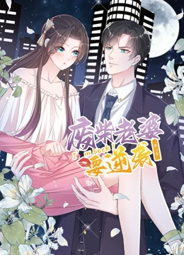 逆袭归来：我的废柴老婆 第三季封面