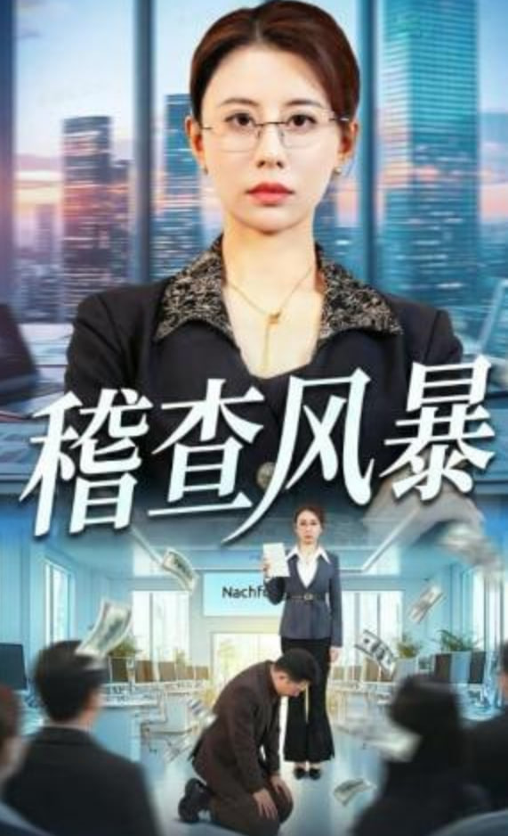 稽查风暴封面