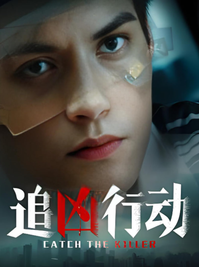 追凶行动封面
