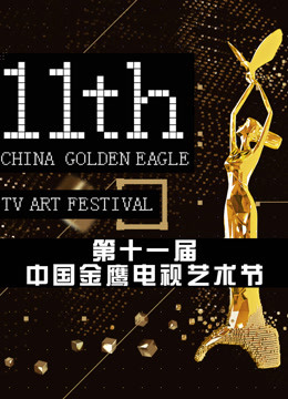 第十一届中国金鹰电视艺术节 互联盛典封面
