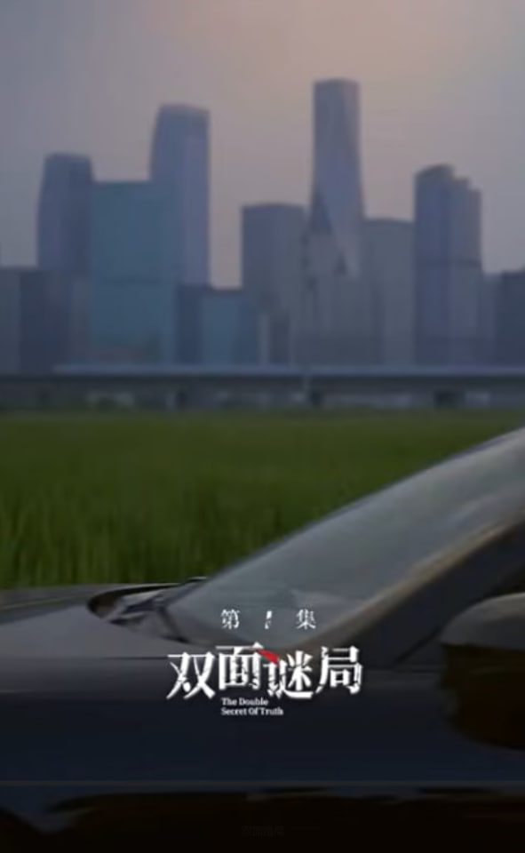 双面婚局封面