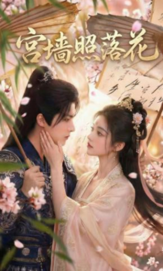 宫墙照落花封面
