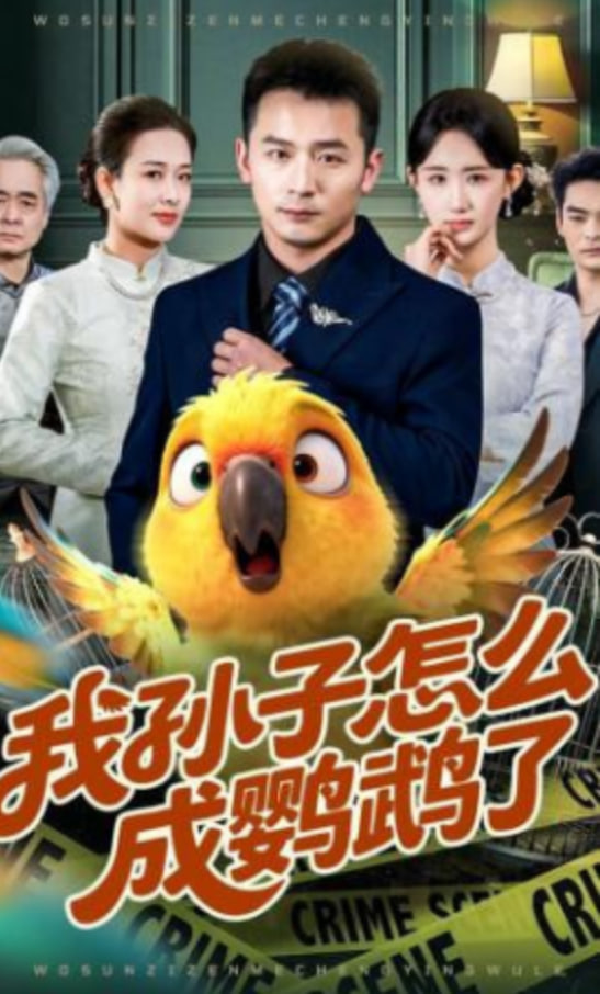 我孙子怎么成鹦鹉了封面