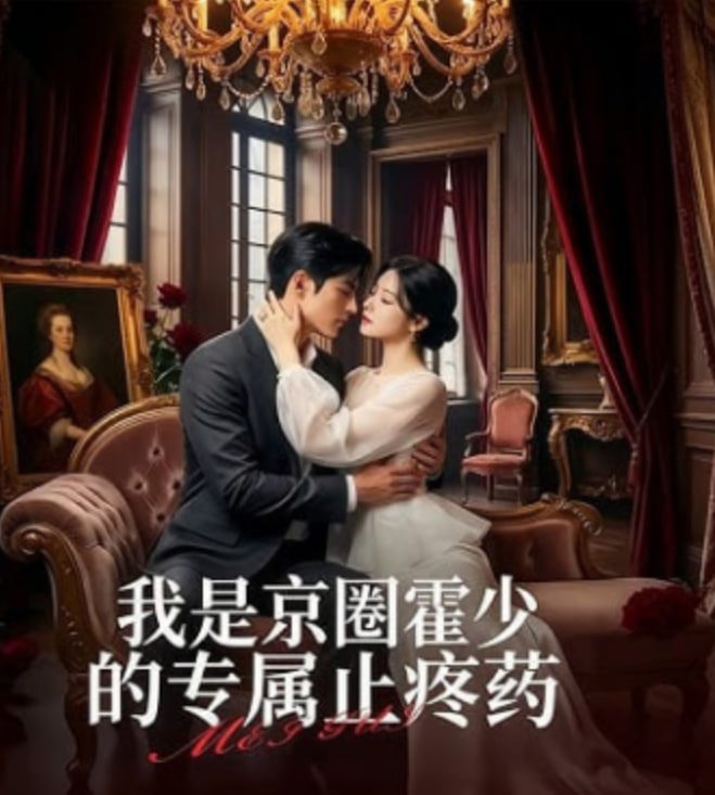我是京圈霍少的专属止疼药封面