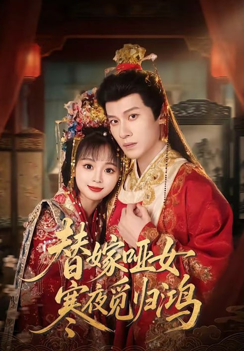 替嫁哑女寒夜觅归鸿封面