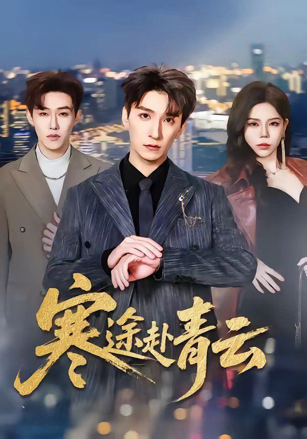 寒途赴青云封面