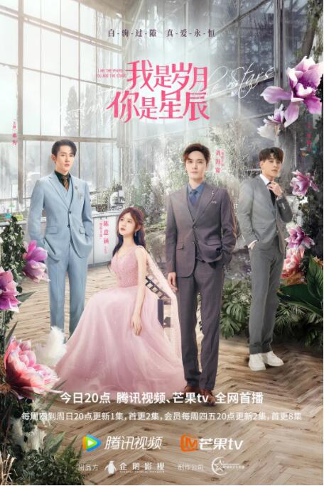 我是岁月你是星辰封面