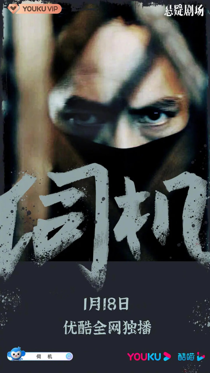 伺机封面