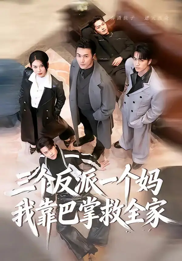 三个反派一个妈，我靠巴掌救全家封面