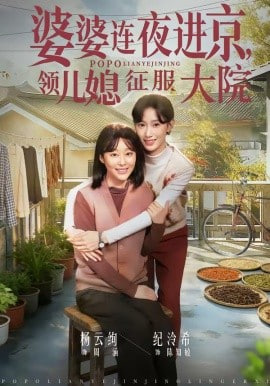 婆婆连夜进京，领儿媳征服大院封面