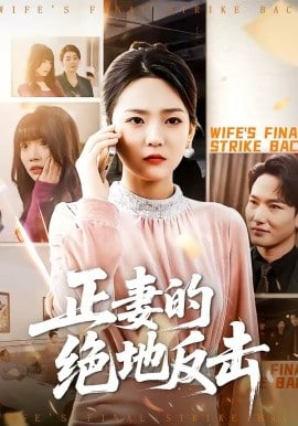 正妻的绝地反击封面