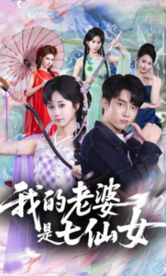 我的老婆是七仙女封面