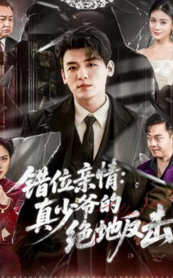 错位亲情：真少爷的绝地反击封面