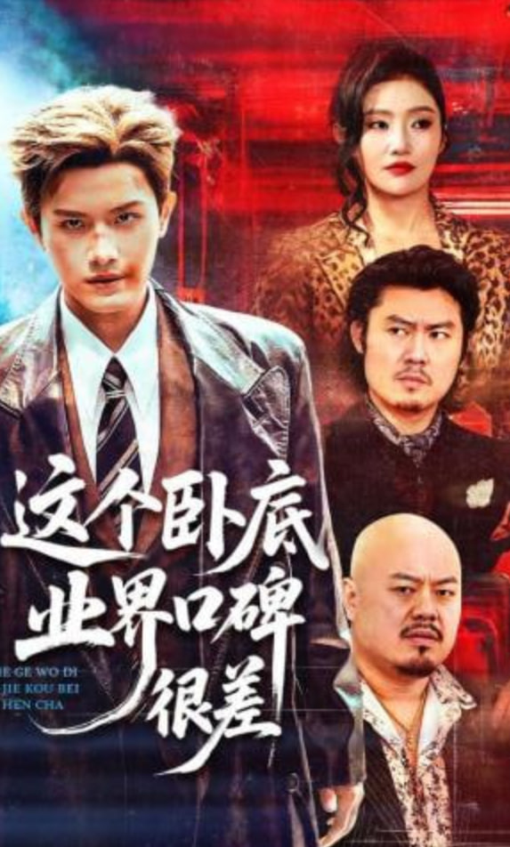 这个卧底业界口碑很差封面