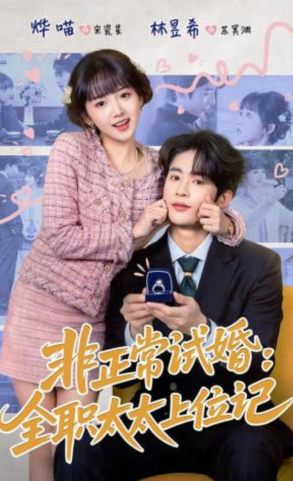 非正常试婚：全职太太上位记封面