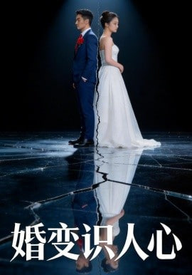 婚变识人心封面