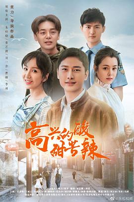 高兴的酸甜苦辣封面