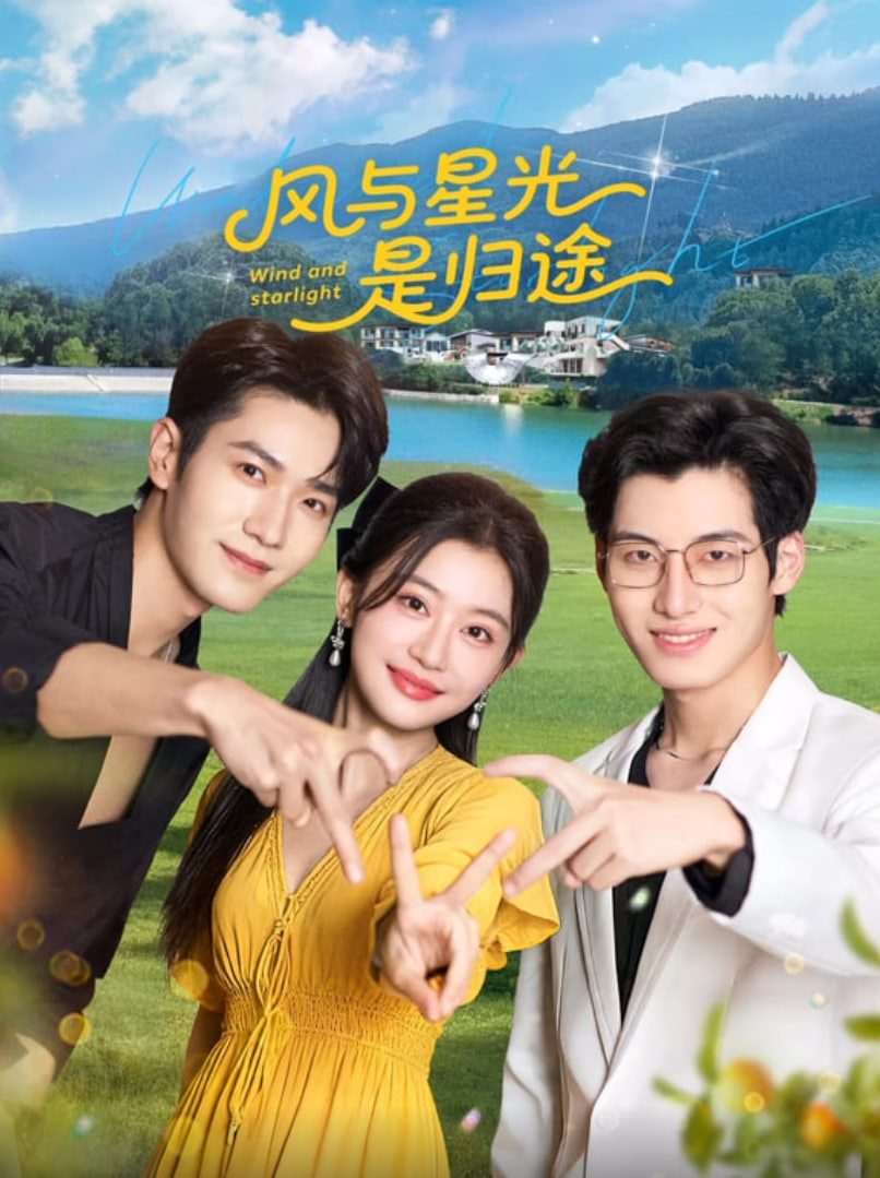 风与星光是归途封面
