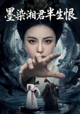 墨染湘君半生恨封面