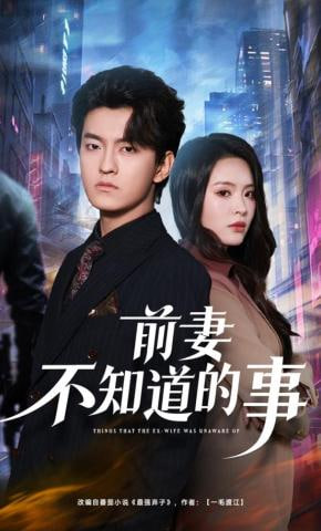 前妻不知道的事封面
