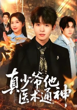 真少爷他医术通神封面