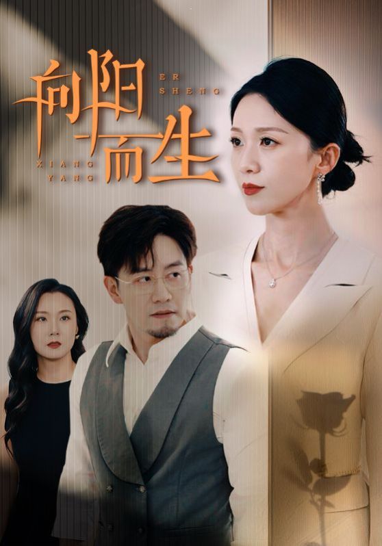 向阳而生封面
