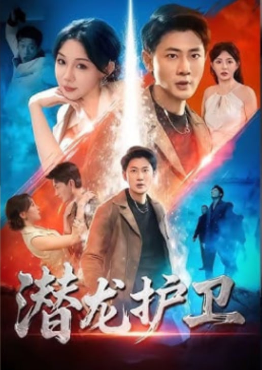潜龙护卫封面
