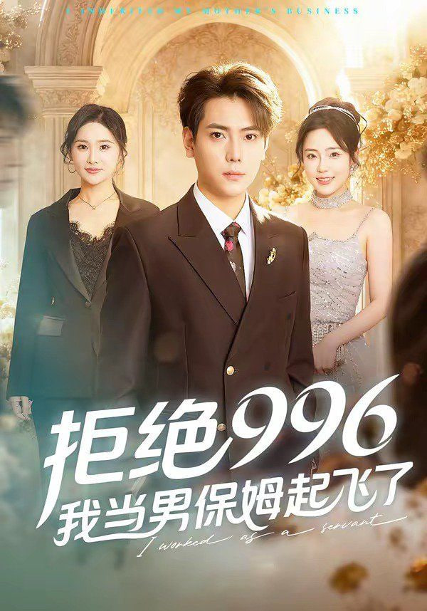 拒绝996，我当男保姆起飞了封面