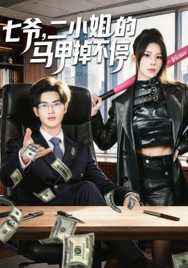 七爷，二小姐的马甲掉不停封面