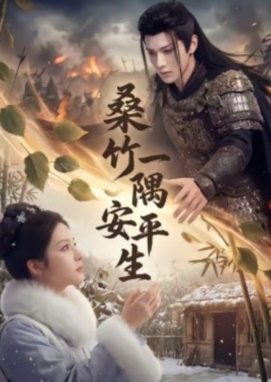 桑竹一隅安平生封面