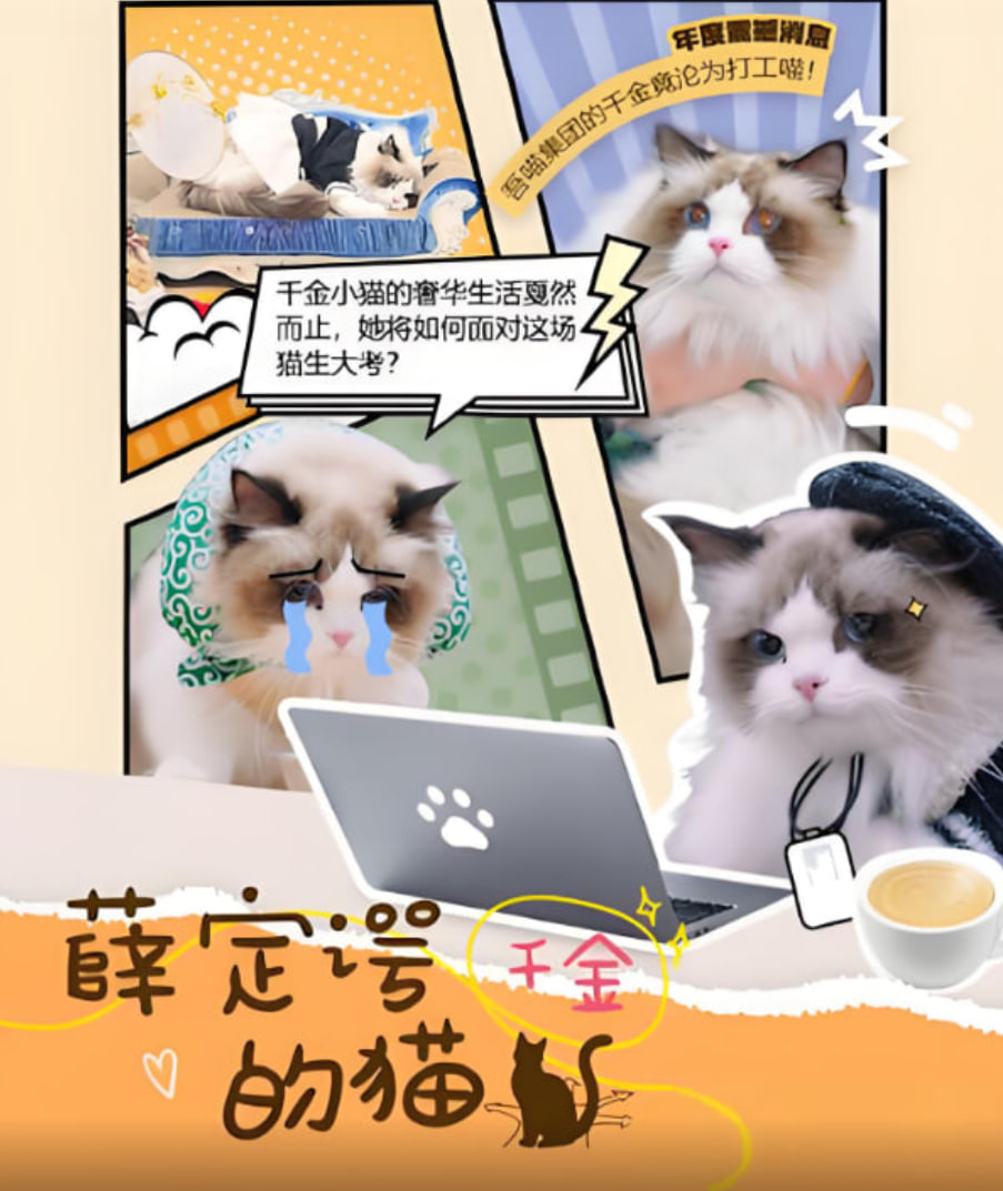 薛定谔的猫封面