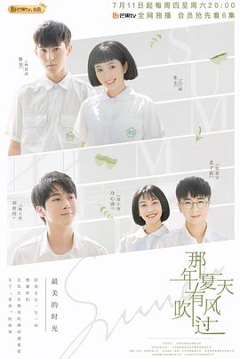 那年夏天有风吹过封面