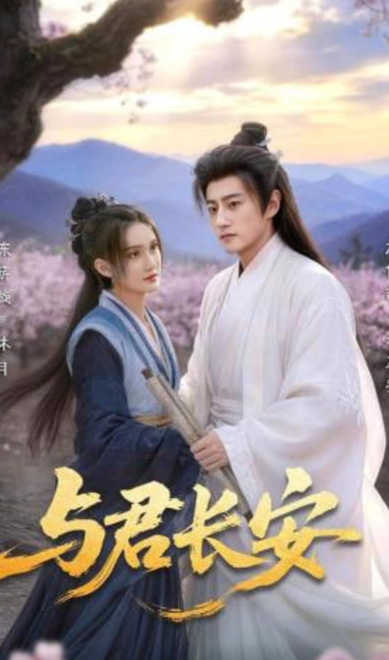 与君长安封面