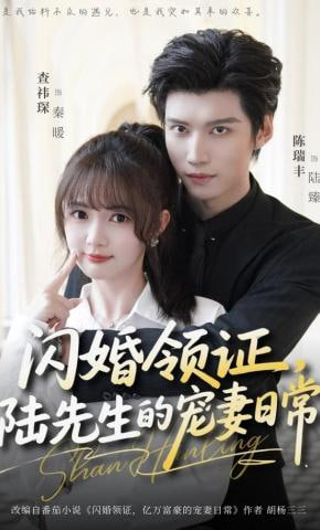 闪婚领证，陆先生的宠妻日常封面