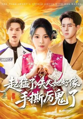 起猛了，夫人她好像手撕厉鬼了封面