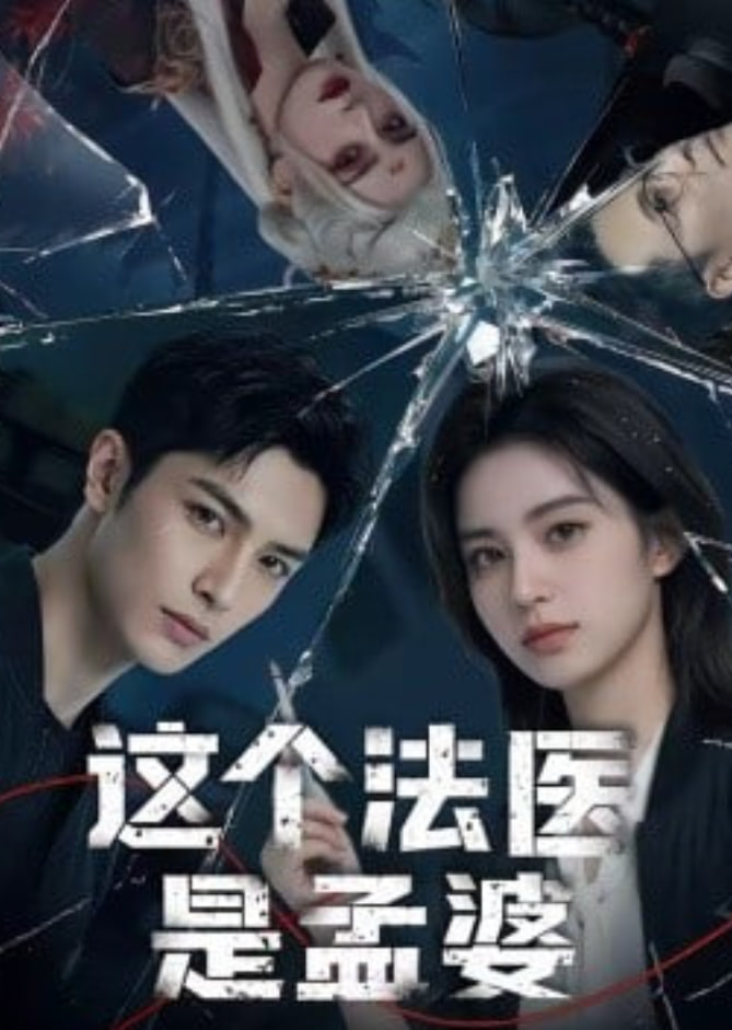 这个法医是孟婆封面