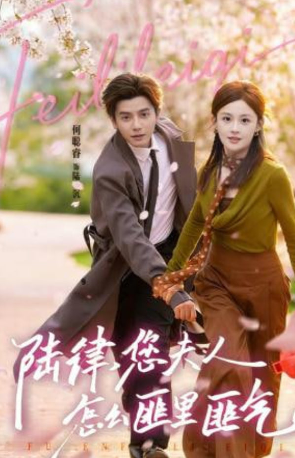 陆律，您夫人怎么匪里匪气封面